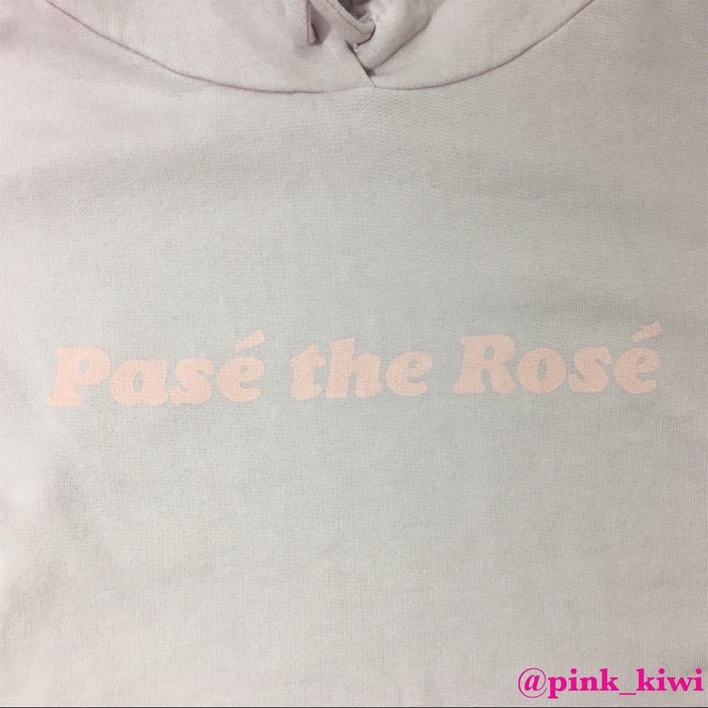 ⬇️REDUCED❗️ Wildfox Pasé The Rosé Ivy Hoodie - Picture 8 of 8